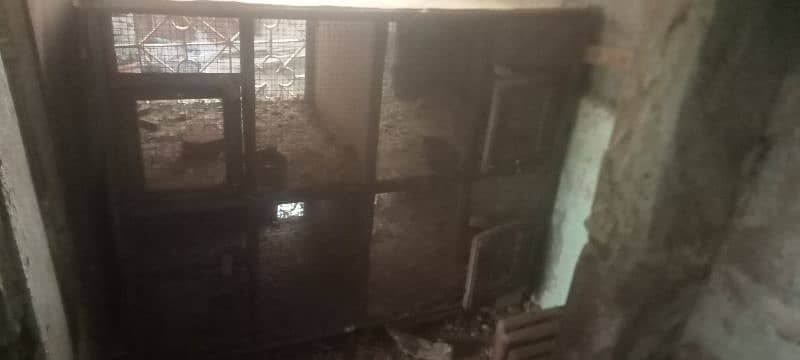 kabutar cage 10 box 1