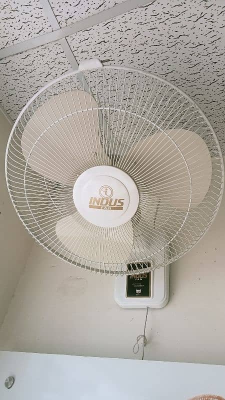 Indus And Wahid Two Fans 0