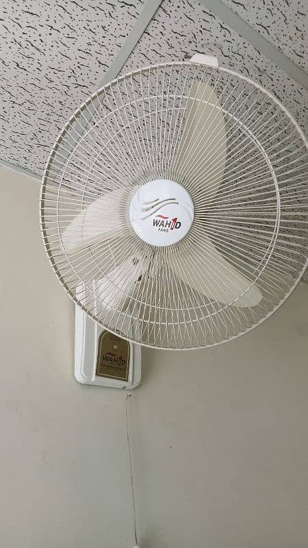 Indus And Wahid Two Fans 1