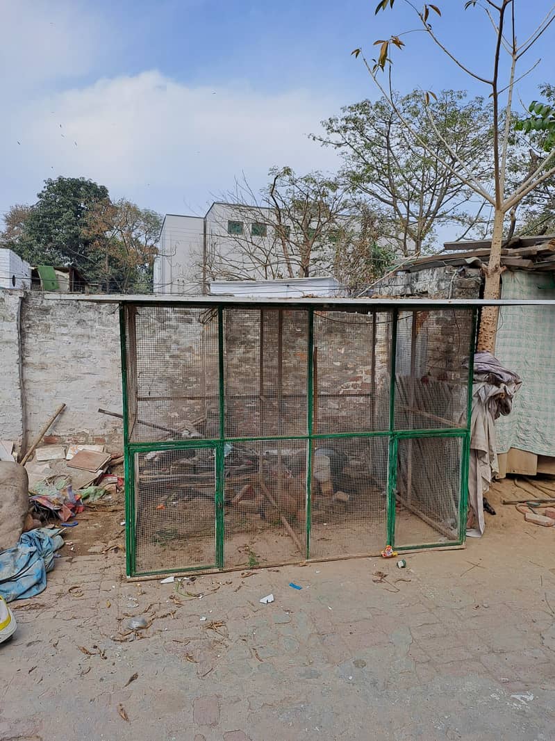 Pigeon cage 6ft By 8ft 0