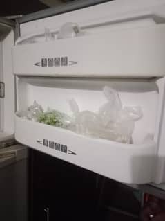 full size frige