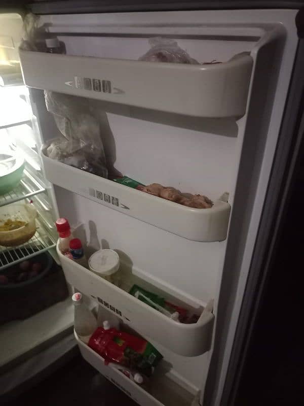 full size frige 2