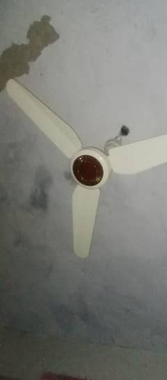 Rado ac DC fan selling fan only 2 month used