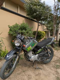 ybr125g