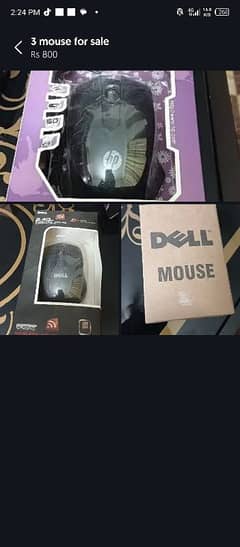 mouse for sale