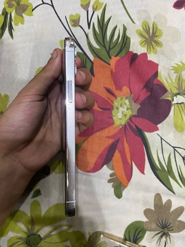 Iphone 12 pro 256 gb pta approved 3