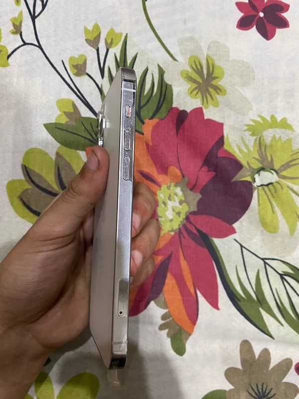 Iphone 12 pro 256 gb pta approved 4