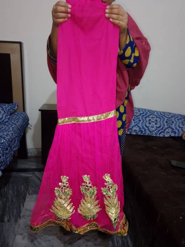 Mehndi Dress Good condition Good looking beautiful 3