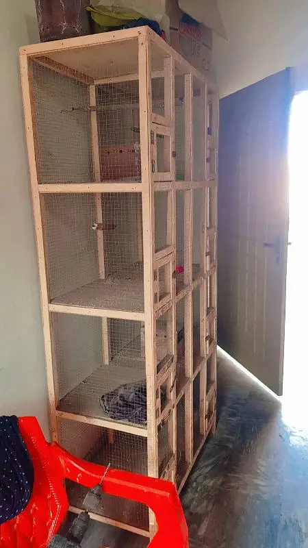 wooden cage best   8 &partitions — photo 2