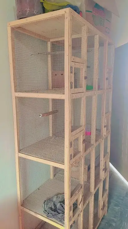 wooden cage best   8 &partitions — photo 6
