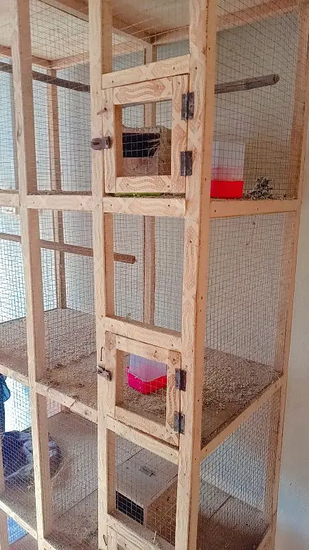 wooden cage best   8 &partitions — photo 7