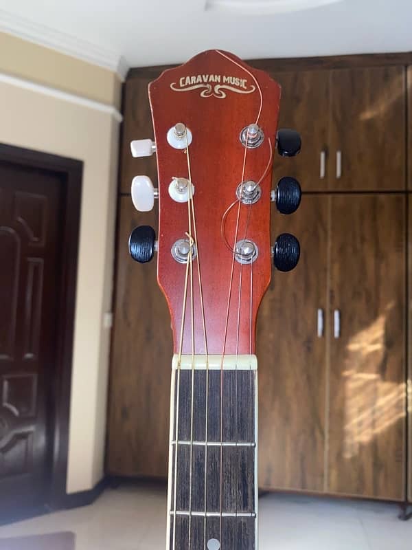 Professional Acoustic Guitar 2