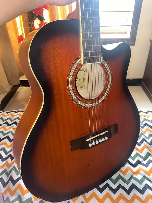 Professional Acoustic Guitar 3