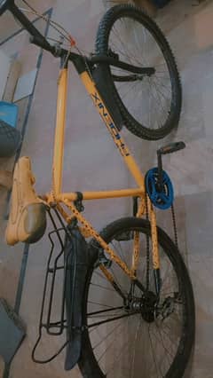 Phoneix Bicycle