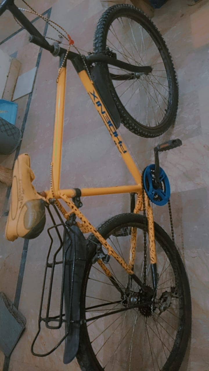 Phoneix Bicycle 0