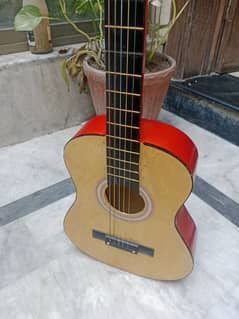 one wire missing in good condition medium size (professional guitar)