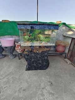 used fish tank with decor inside