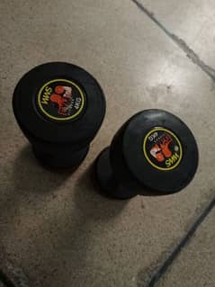 2&4 kg pair dumbbells& tummy trimor minor used urgent urgent  sale