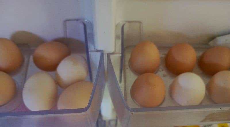 Desi Eggs of Home grown Hens 2