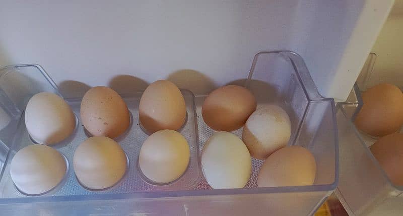 Desi Eggs of Home grown Hens 3