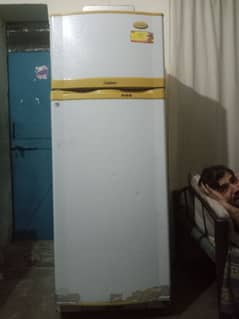 refrigerator