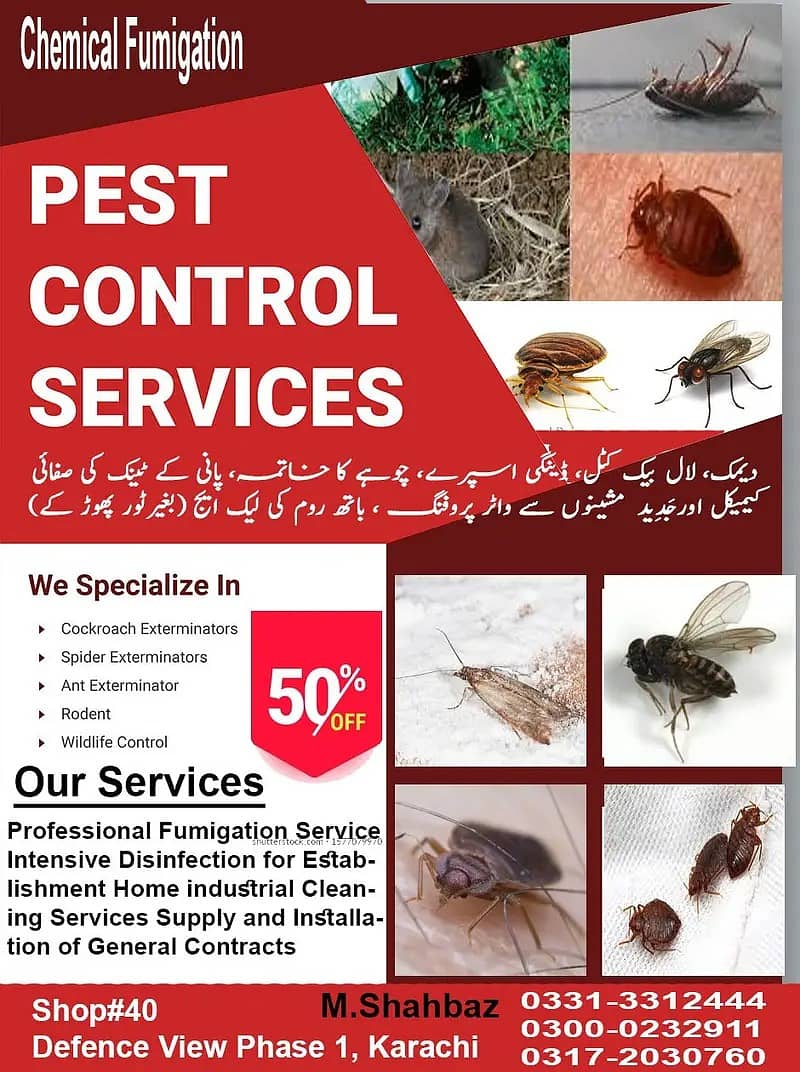 Pest control, deemak control service near me, spray fumigation,Termit 0