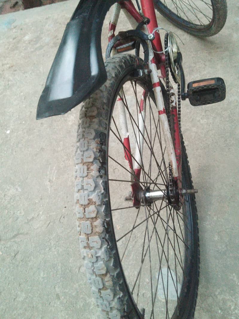 Big cycle for sale! in affordable price 3