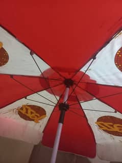 umbrella