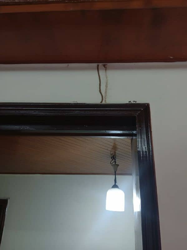 Termite Free Service Lahore 5