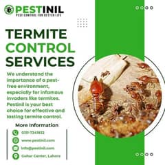 Termite