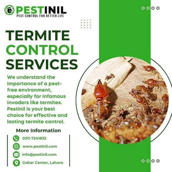 Termite Free Service Lahore 6