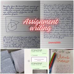 assignment and data entry work