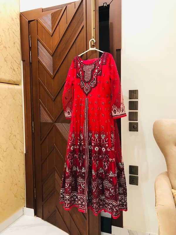 Shaposh Maxie 11