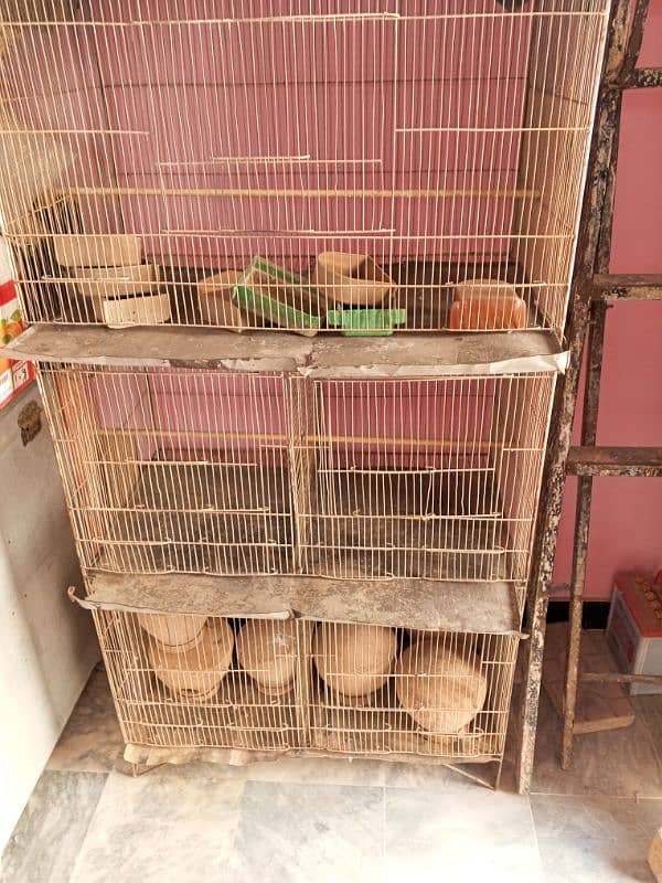 3 PCs hogoromo, Cage & breeding pots for sale 3