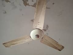 2 ceiling fans