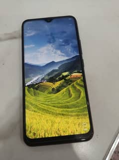 Vivo y15