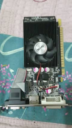 Nvidia GT 610 2gb New