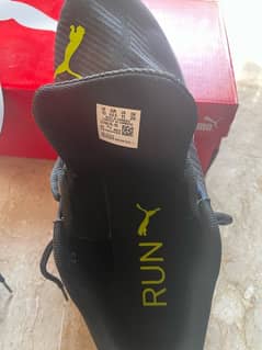 Puma Runnings Shoes (Aviator)