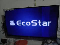 Ecostar 42