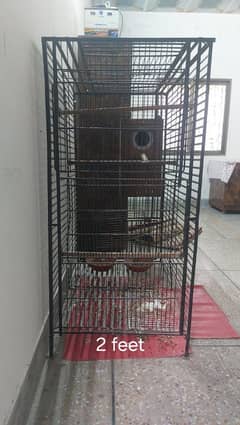 Cage for sall