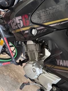 Yamaha ybr G