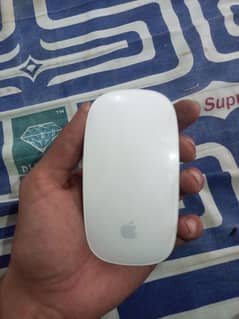 Apple Magic mouse 1