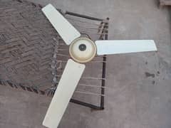 celling fan 80watt 56 inches (full size)