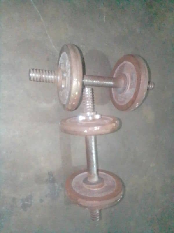 for sale 10 kgs dumbbells set - used but functional 1