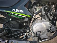 YBR125G