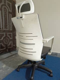 Office & Study Chair