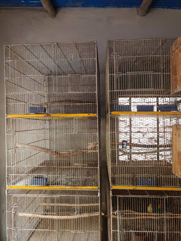 Lovebirds Breeding cage 2