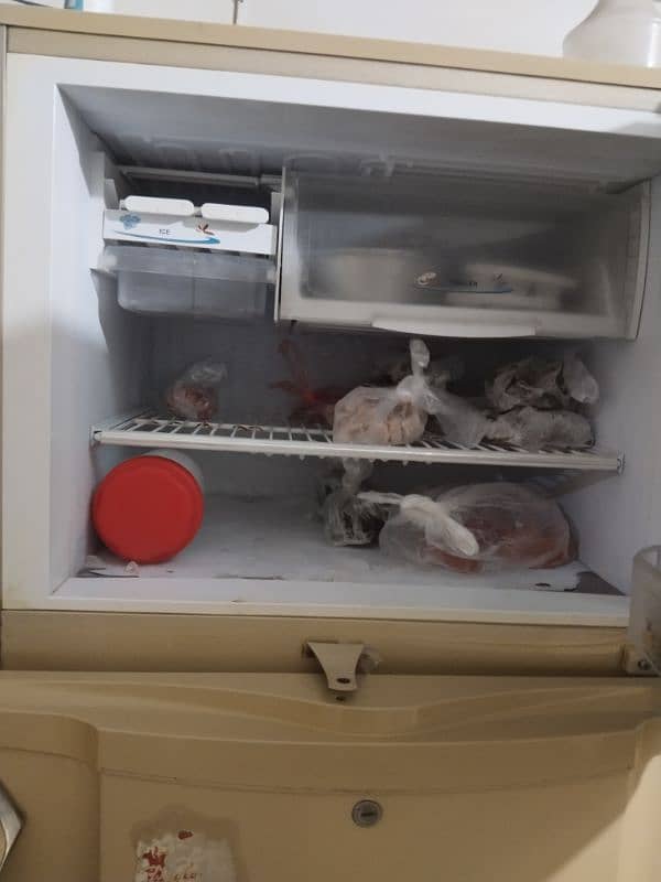 Pel Fridge 4