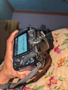 "Canon 200D Mark II DSLR (Canon 250d)– Excellent Condition | 24.1MP |