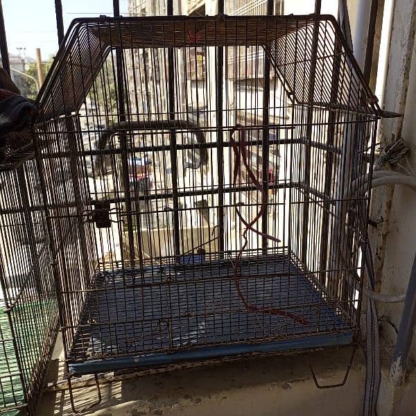 Cage for Sell 3